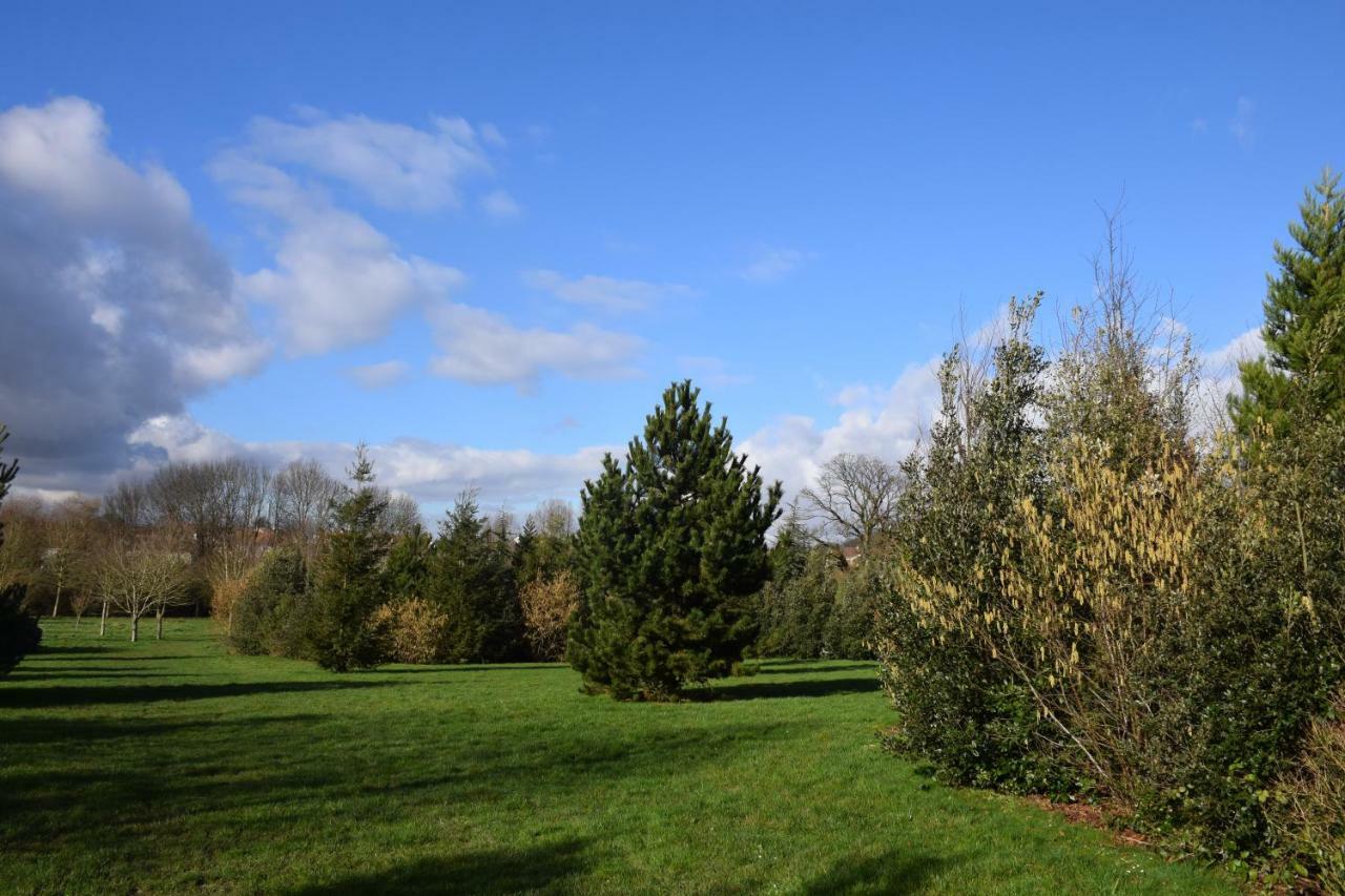 Appartement Avec Rez De Jardin A Disneyland Montévrain Zewnętrze zdjęcie